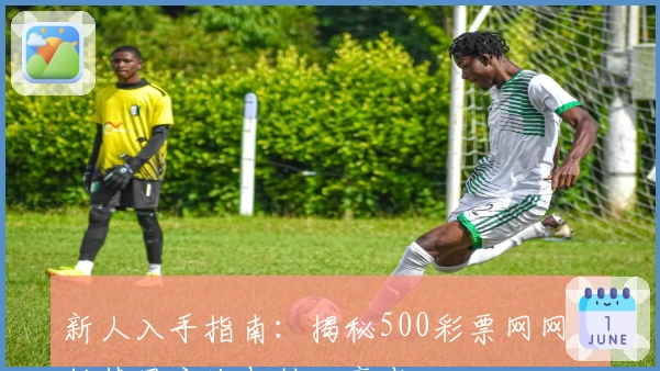 新人入手指南：揭秘500彩票网网页版使用方法与核心亮点