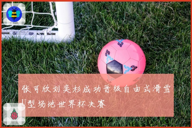 张可欣刘奕杉成功晋级自由式滑雪U型场地世界杯决赛