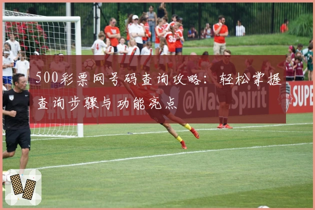 500彩票网号码查询攻略：轻松掌握查询步骤与功能亮点